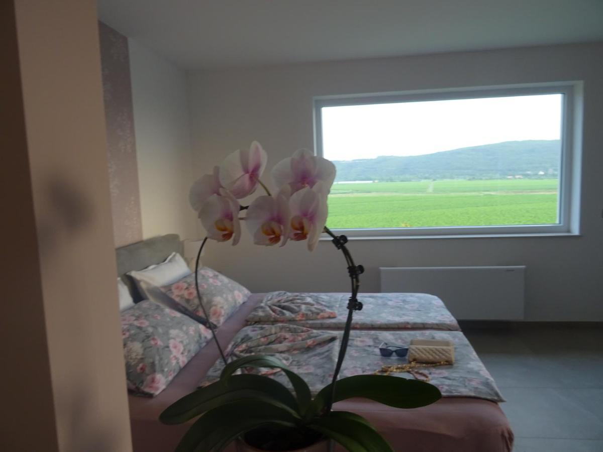 Sečovlje Val&Sol Apartments מראה חיצוני תמונה